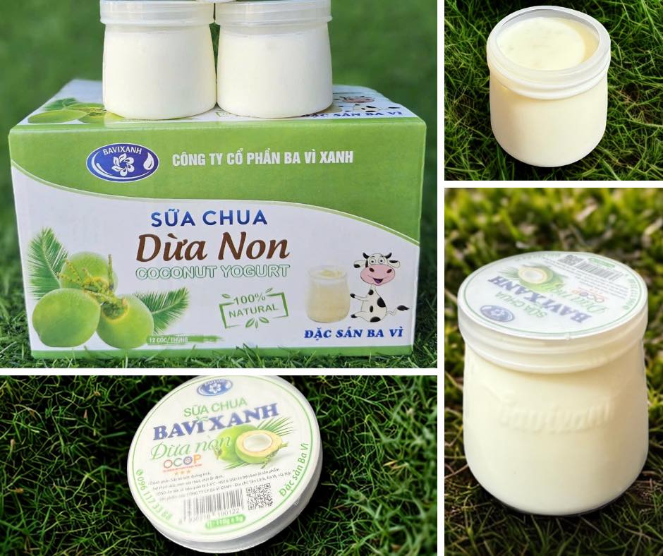 Sữa chua dừa non Ba vì xanh